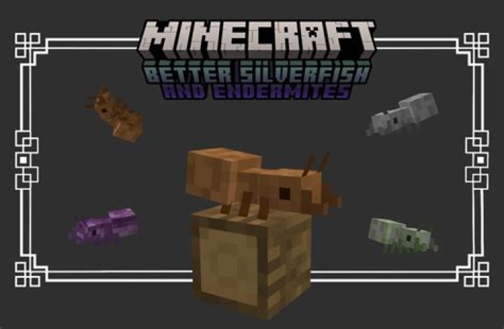 Silverfish stone/egg placement