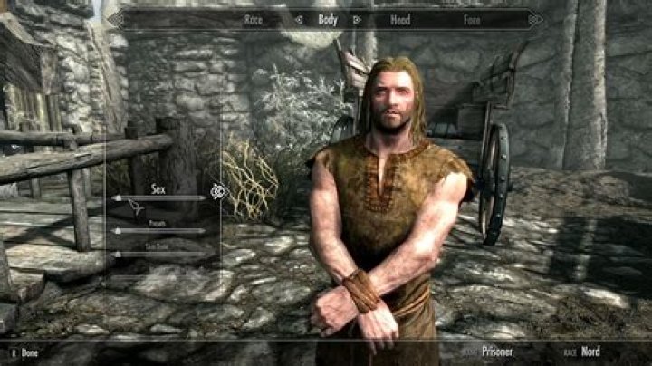 Skyrim Character Creation Problem
