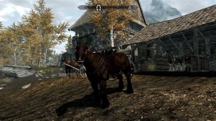 Skyrim Purchased Horses