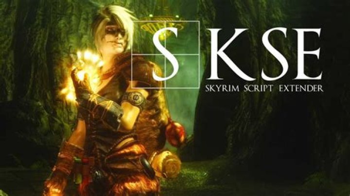 Skyrim Script Extender SKSE looks up for old Skyrim