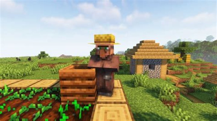 Spawned Villager