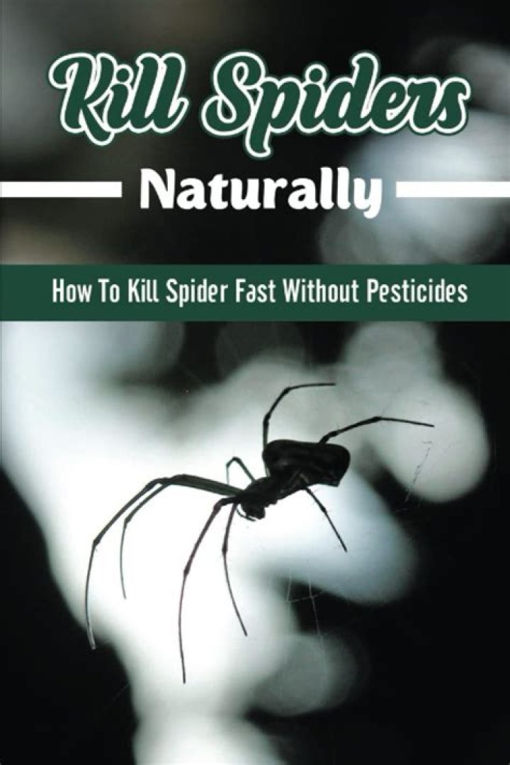 spider kill spider