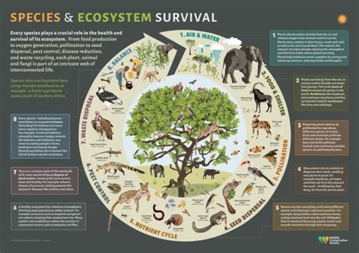 Stuck with a growing pop of a species that is no longer present on the planet