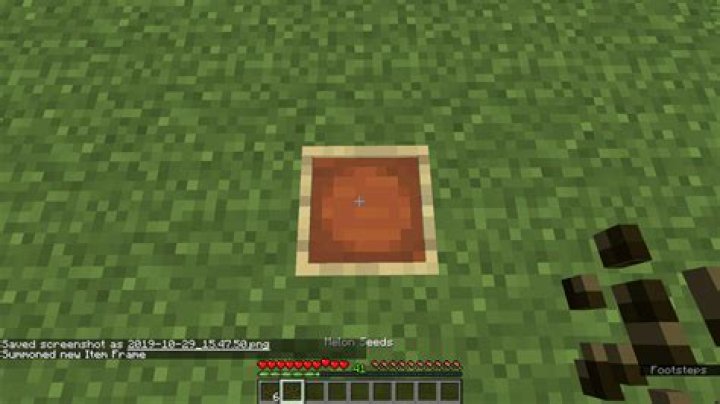 Summon an item frame with custom item which have data on it