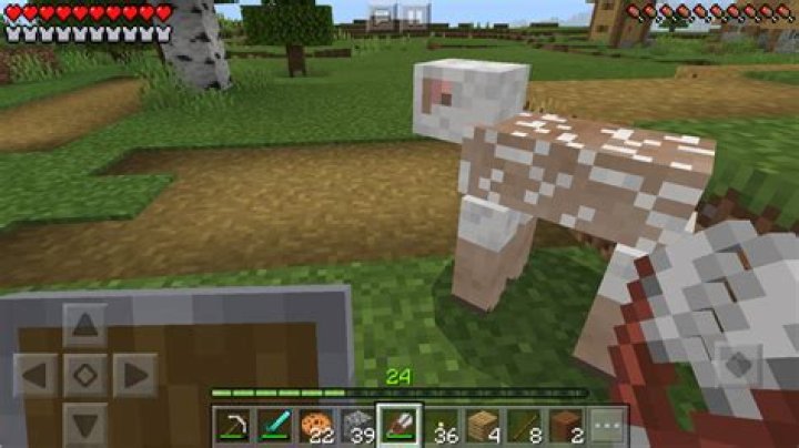 Transporting Sheep in Minecraft