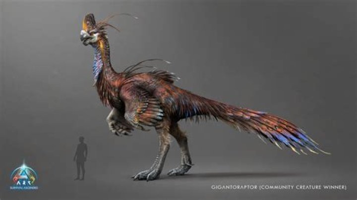 User Gigaraptor - Arqade