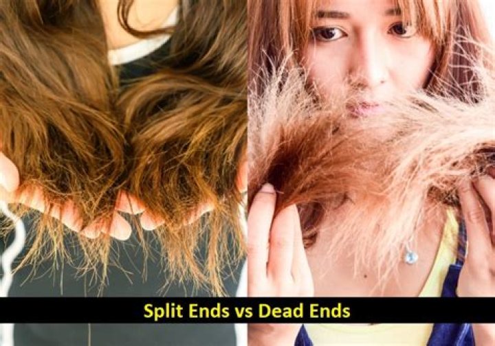 What are the dead-ends?