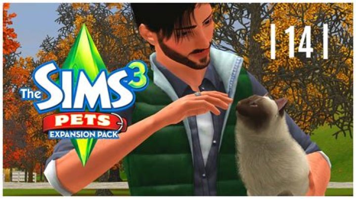 What are the differences between The Sims 3: Pets on Windows and Xbox 360?