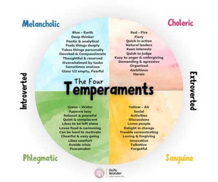 What are the Horses' Temperaments, and what do they change?
