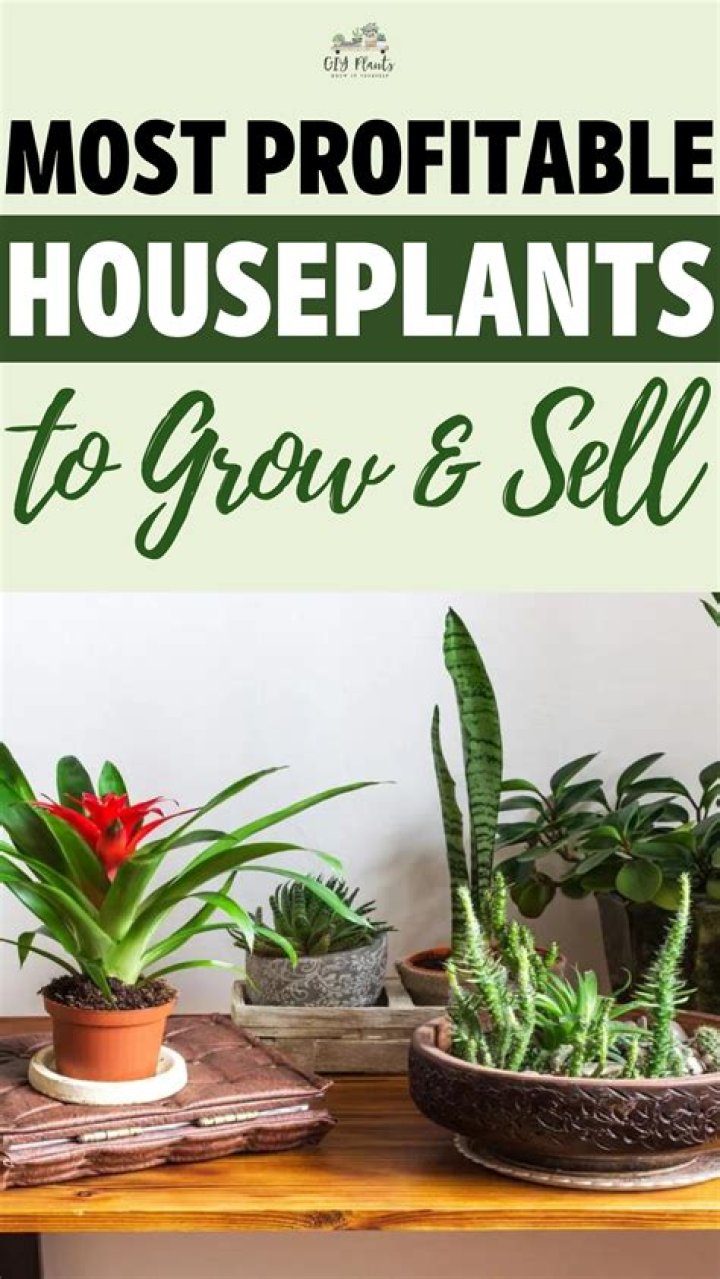 What are the most profitable ingredients to plant?