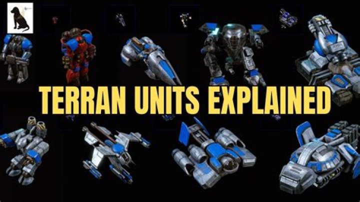 What are the popular openings / builds for Terran in StarCraft 2?