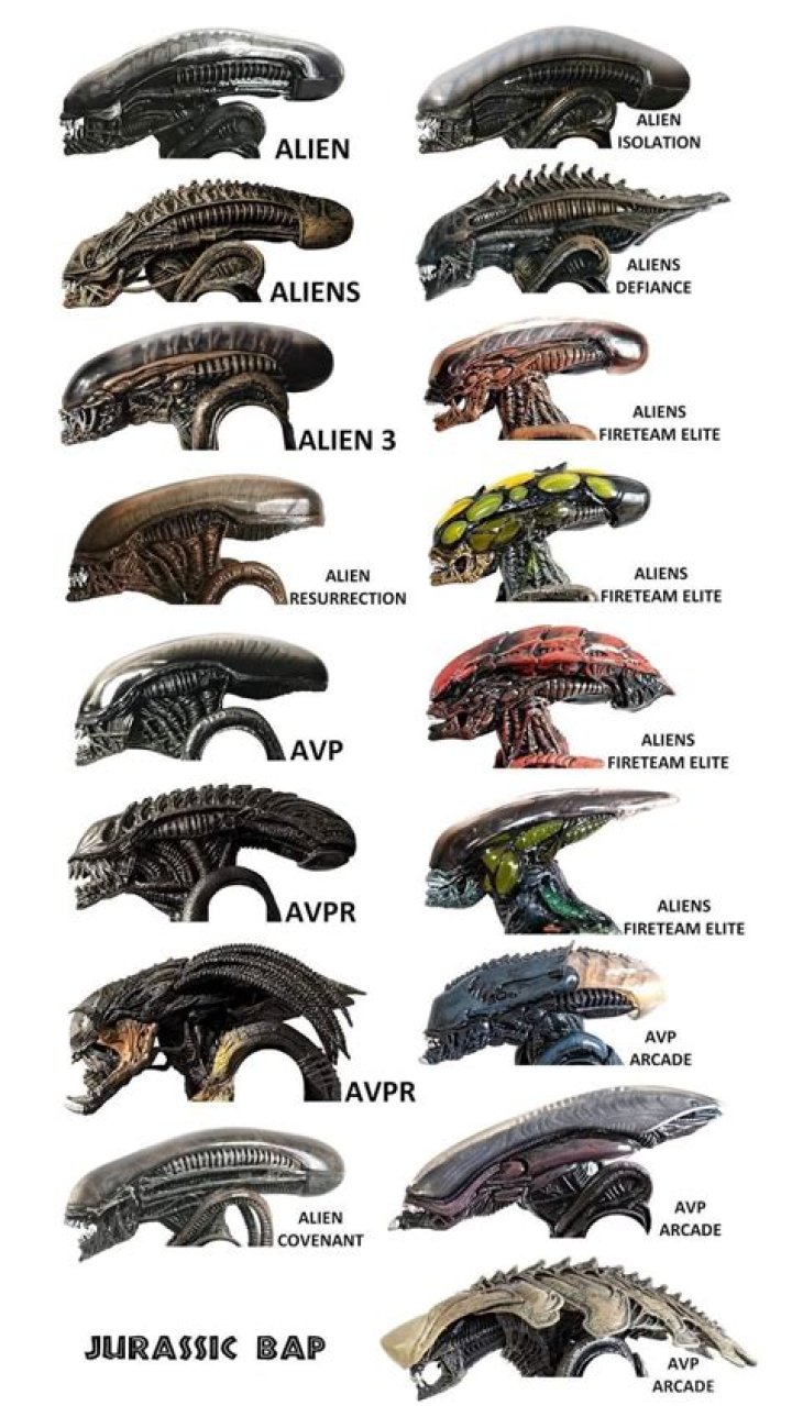 What are the standings for the different alien species?