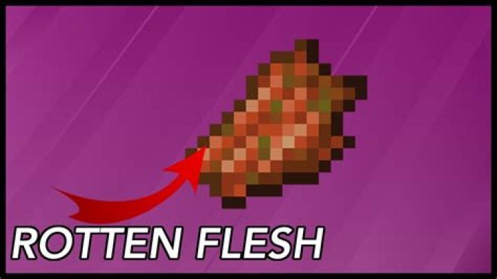 What can I do with Rotten Flesh?