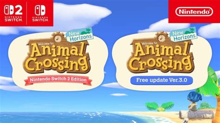 What can players visiting via Dodo Code do to my island in Animal Crossing New Horizons?