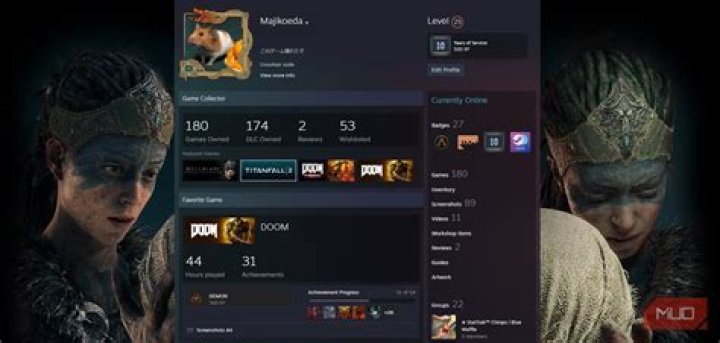 What do Steam Profile levels do?