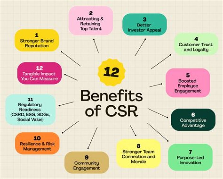What does 'CSR' mean in the context of 'CSR Racing'?
