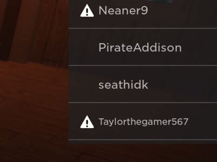 What does this warning symbol next to player names in Roblox mean?
