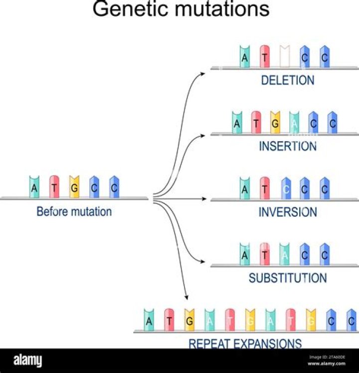 What exactly happens when something mutates?