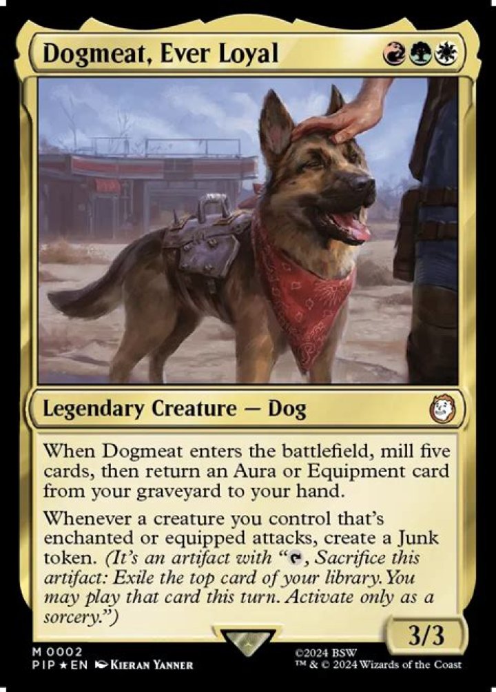 What glasses can Dogmeat wear?