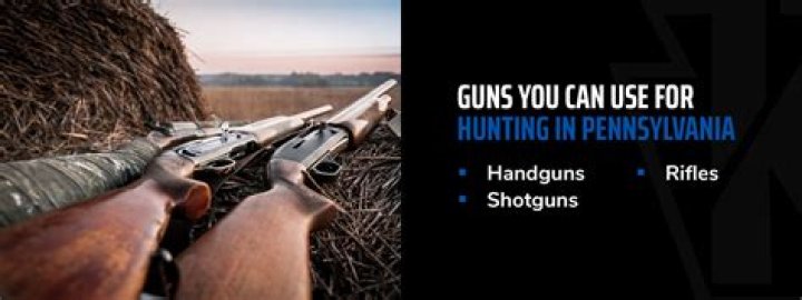 What guns can penetrate what kind of structures?