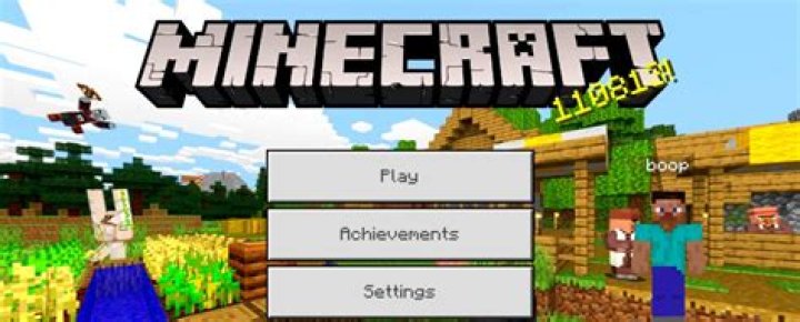 What is 110813 in Minecraft?