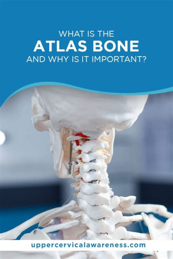 What is the Atlas's head?