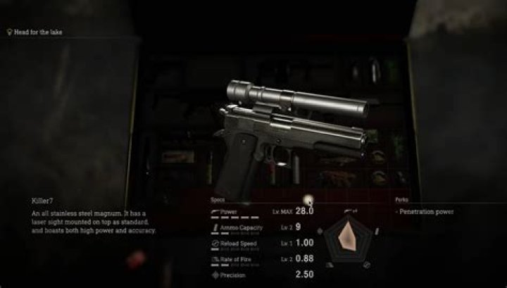 What is the best ammo strategy to use in Resident Evil 4 in Professional mode?