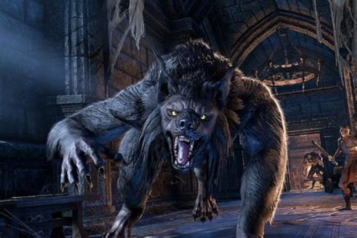 What is the console command to advance the Werewolf skill?