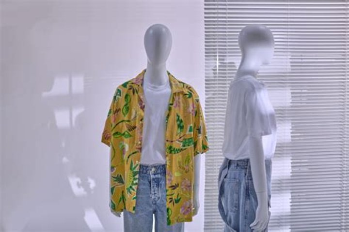 What is the difference between a Mannequin and a Womennequin?