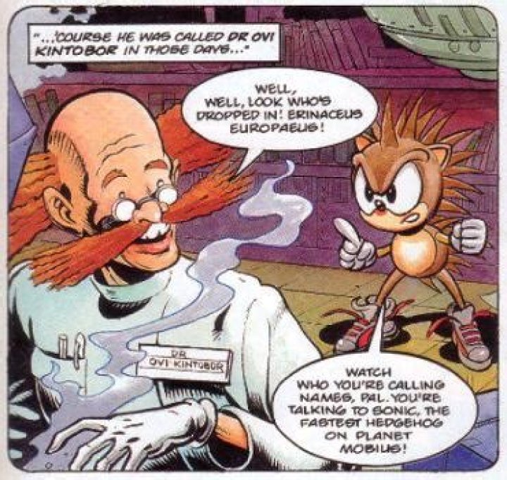 What is the difference between Dr. Robotnik and Eggman?