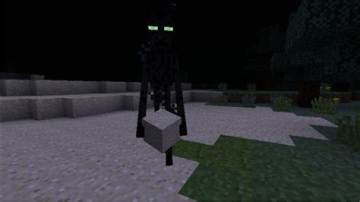 What is the difference between green and purple Endermen? [closed]