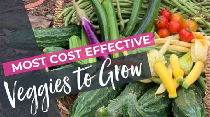 What is the most cost effective way to grow a fairy?