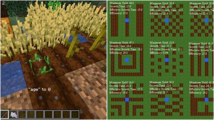 What is the most efficient way to farm squid?