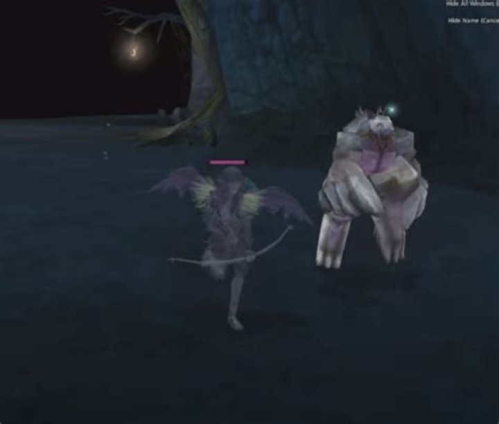 What is the name of this game with a silver-haired elf-like character?