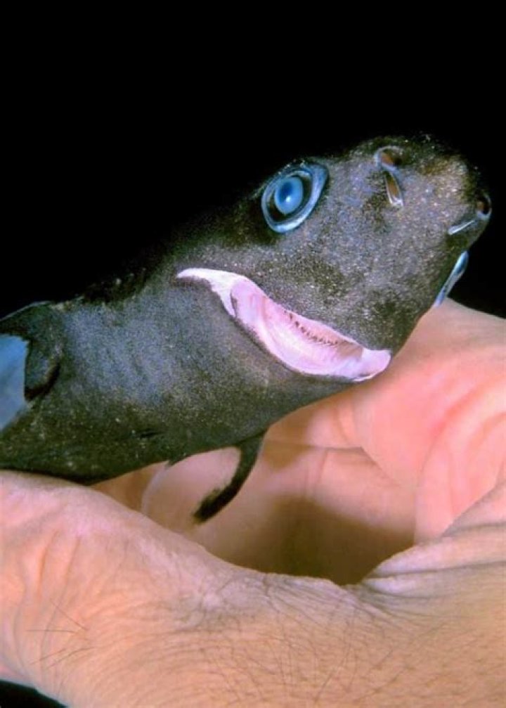 What is the smallest body of water I can fish from?