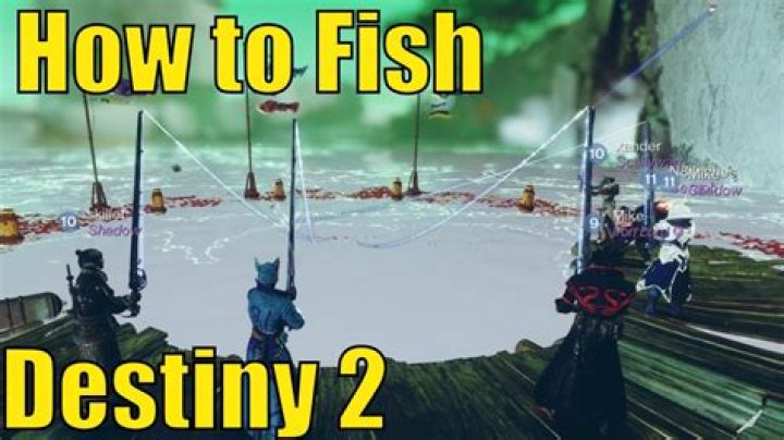 What reward(s) can I get from fishing?