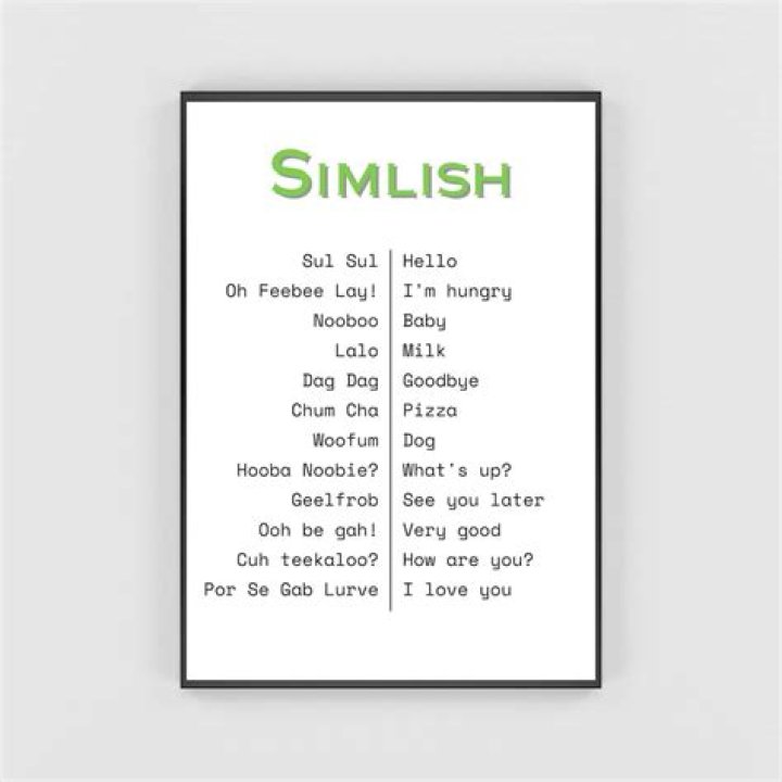 What the franzlegarb is Simlish?