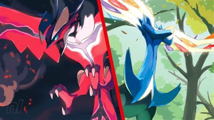 What to do in Pokemon X/Y? [duplicate]