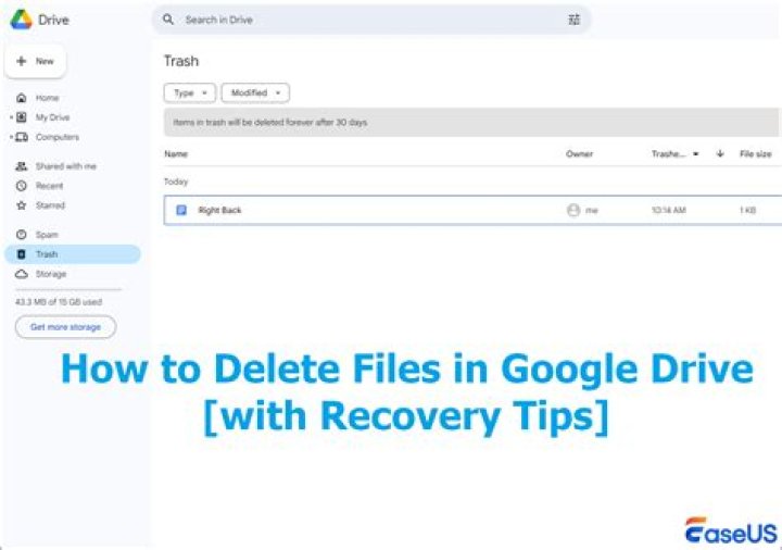 Where are my world files?