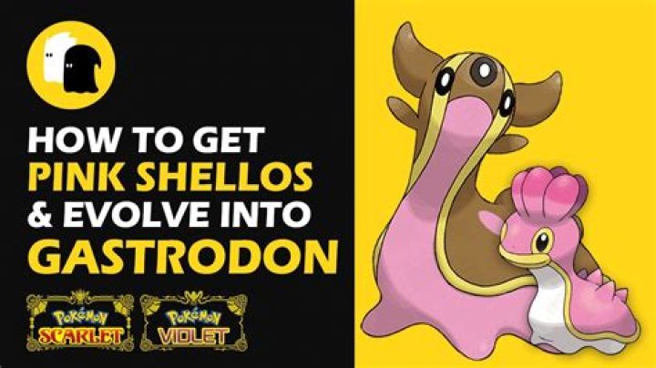 Where can I find a West Sea form of Gastrodon?