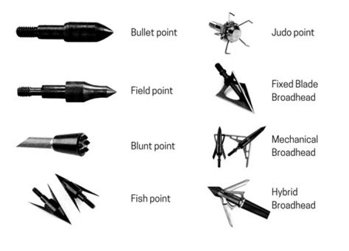 Where can I find detailed damage stats for bodkin vs. broadhead arrows?