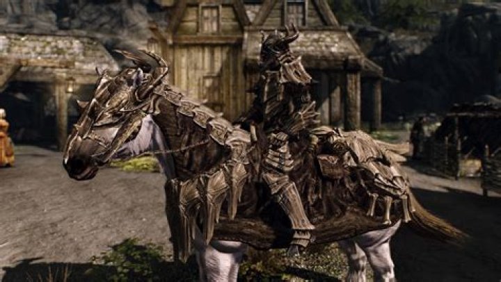 Where can I get some armor for my magnificent steed?