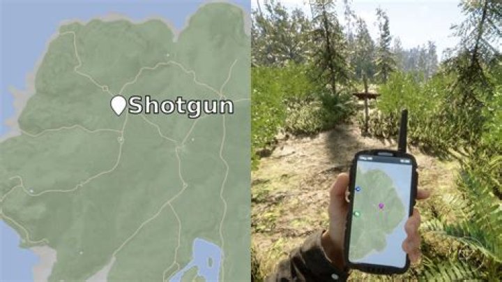 Where can I obtain lots of ammo?