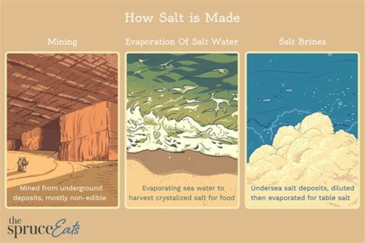 Where do I mine salt?