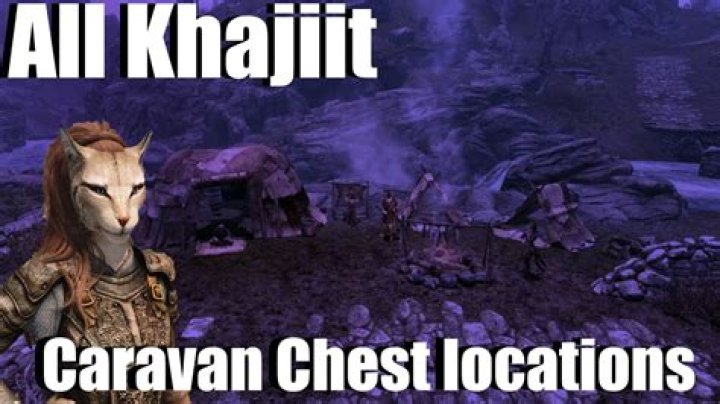 Where has the Khajiit Caravan gone?