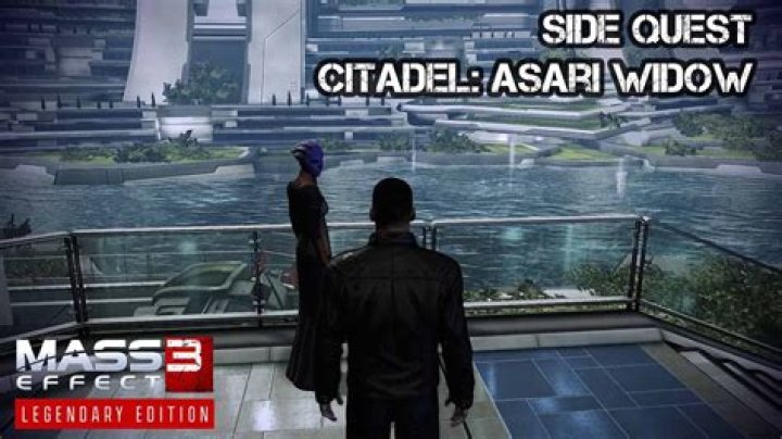 Where is the asari widow's journal?
