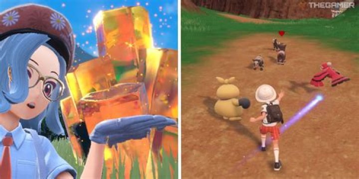Where to farm experience in Pokemon X/Y?