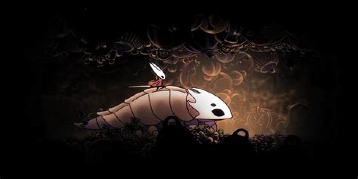 Which abilities/equipment do I need, in order to be able to find *everything* in all areas in Hollow Knight?