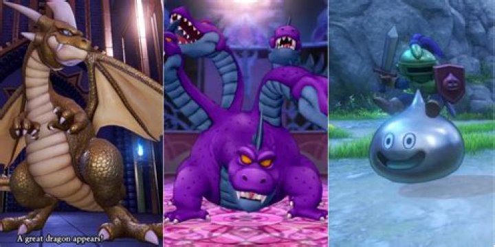 Which dragon for which race?