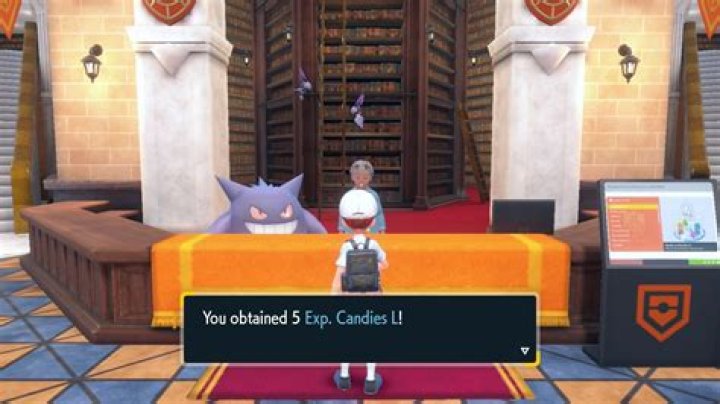 Which items are essential to finish the game?